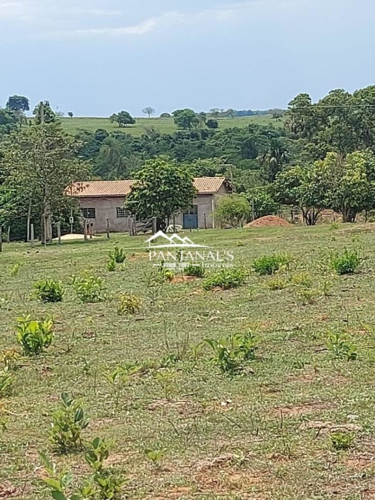 Fazendo disponível para venda em São Sebastião