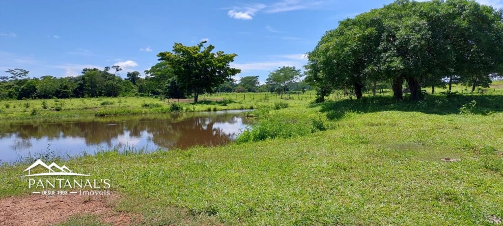 Sítio disponível para venda, sentido Guiratinga