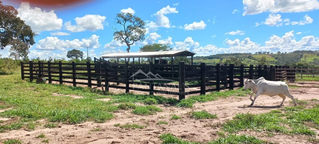 Fazenda à venda à 100 km de Campo Verde