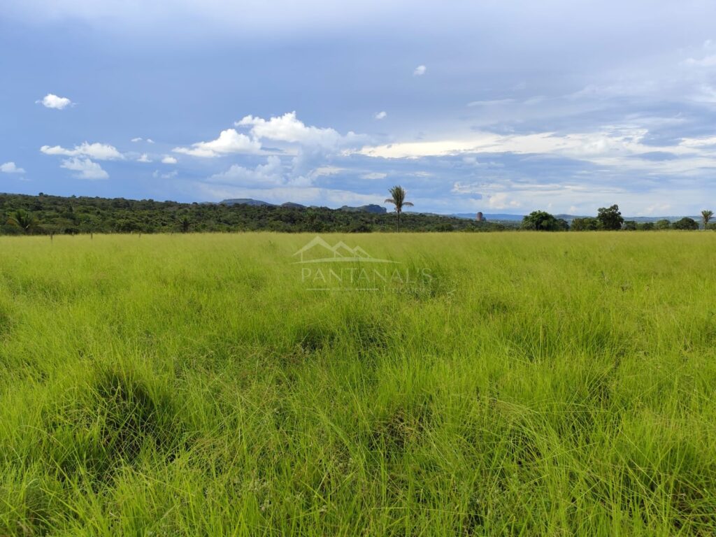 Sítio disponível para venda na cidade de Jarudore