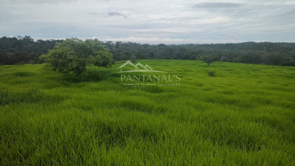 Fazenda à venda – Nova Brasilândia/MT