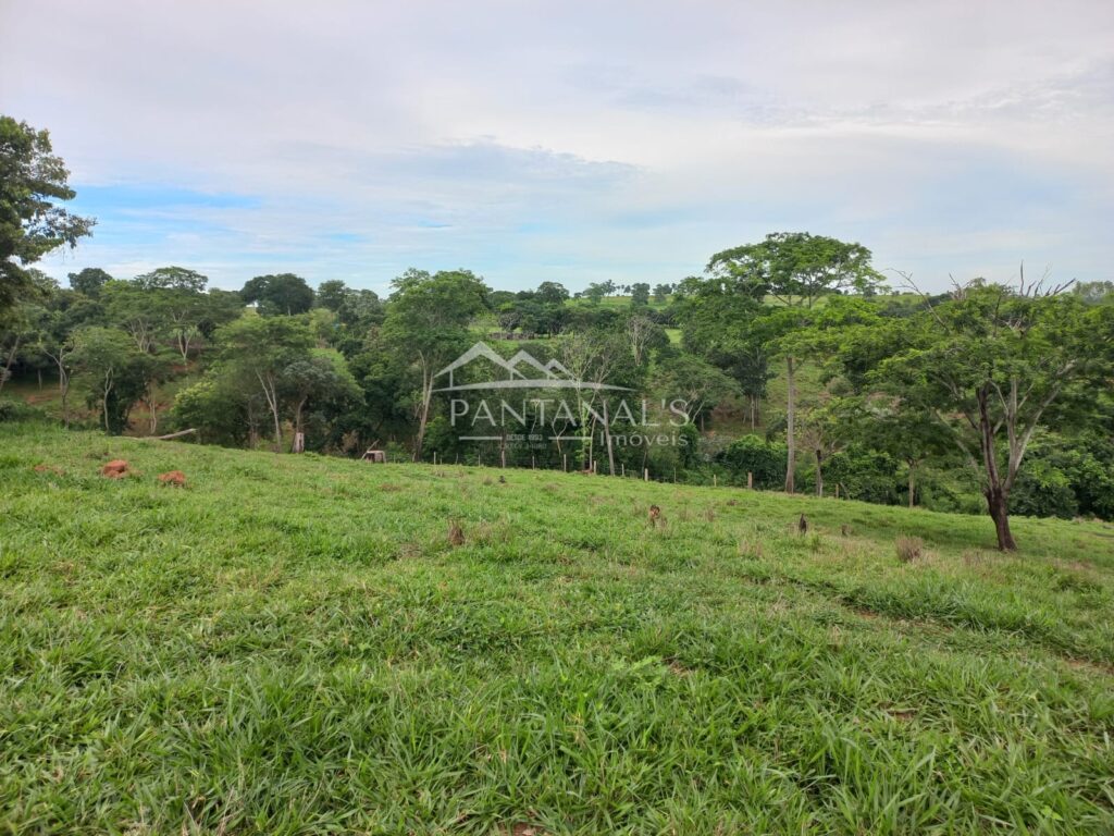 Sítio à Venda – Pedra Preta/MT