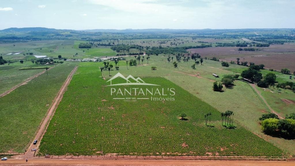 Vendo área em atividade de Piscicultura com distância de 1.5 km da BR 364