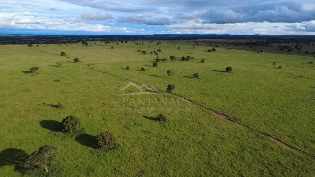 Excelente área rural com 185 hectares